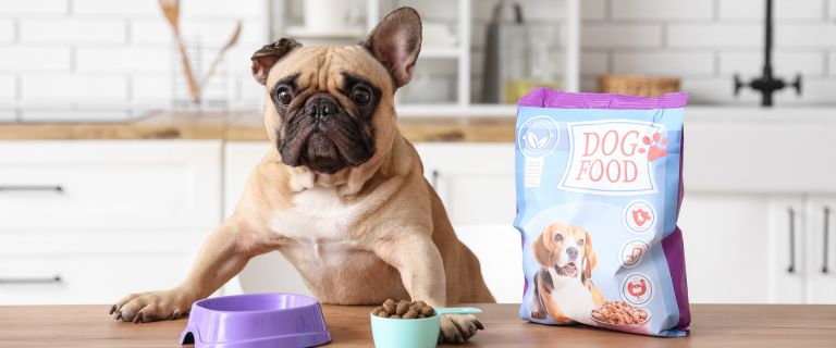 “Where’s My Pet Food?” — Why Order Tracking Failures Cost Pet Brands More Than Refunds