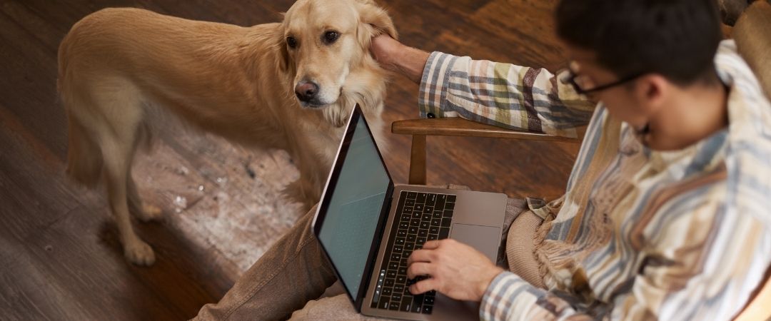 Pet Customer Service Outsourcing for Ecommerce Growth