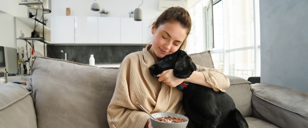 Pet Product Recall Customer Service: How Brands Manage Sudden Support Surges